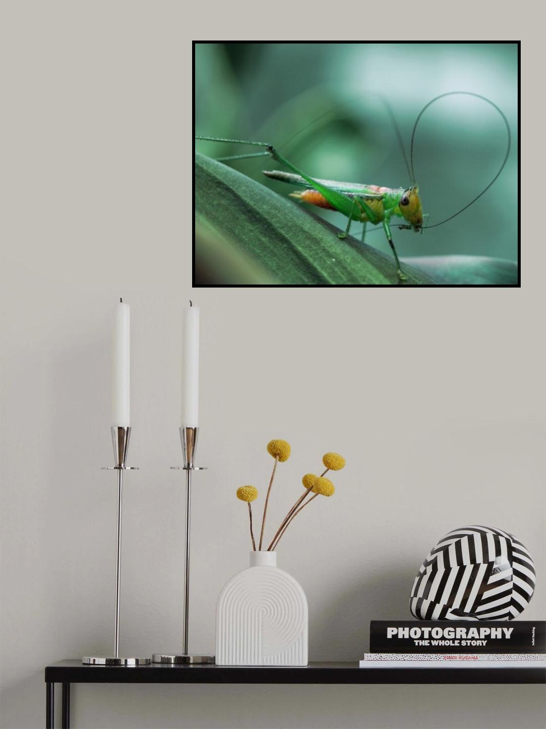 Cleaning Poster och Canvastavla