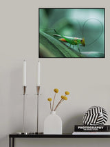 Cleaning Poster och Canvastavla