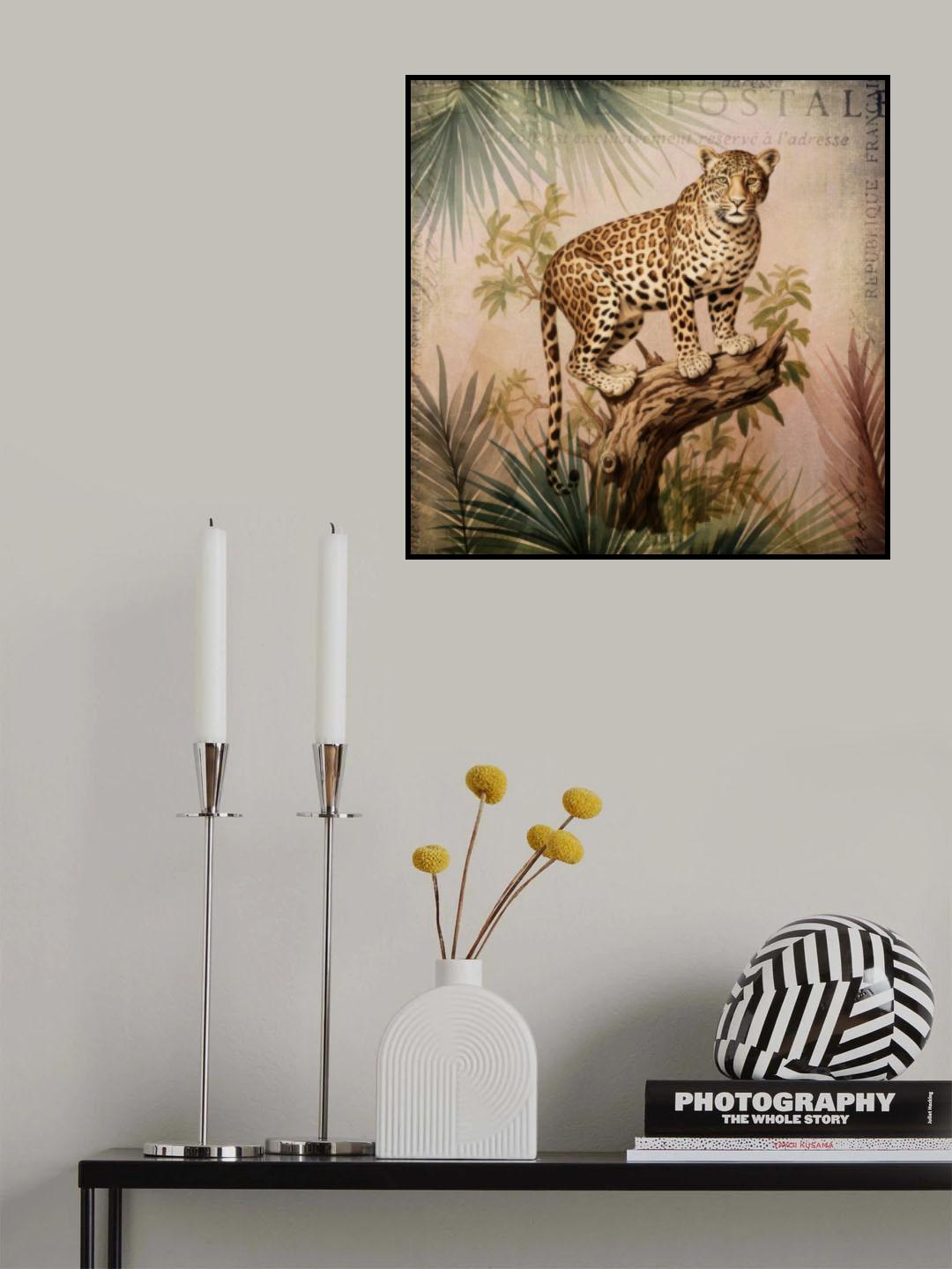 Cheetahs Exotic Jungle Poster och Canvastavla