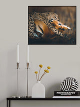 Some love kills Poster och Canvastavla