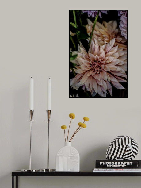 Queen of the Night Poster och Canvastavla