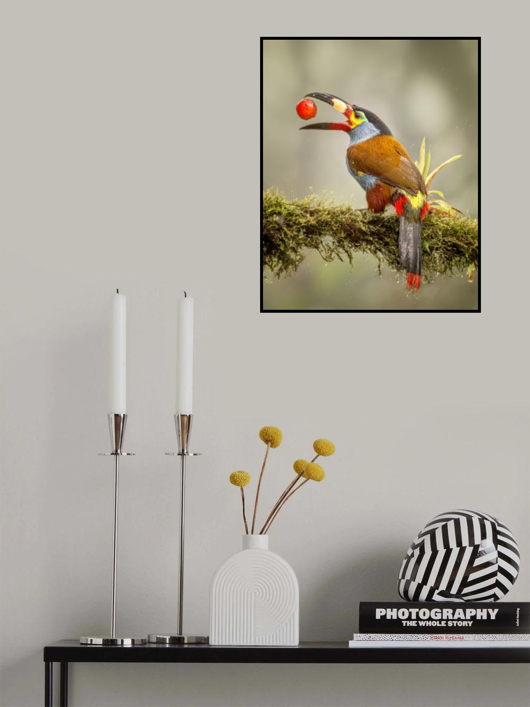 Play with its food in the rain Poster och Canvastavla