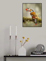 Play with its food in the rain Poster och Canvastavla