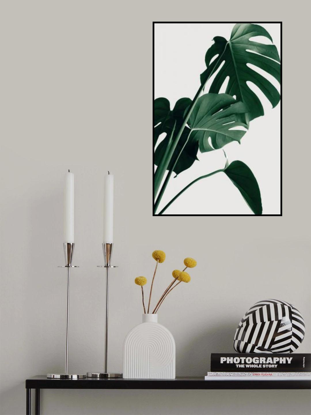 Monstera Natural 22 Poster och Canvastavla