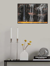 Poster och Canvastavla