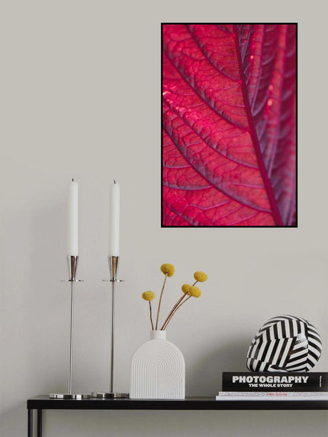Red Leaf Poster och Canvastavla