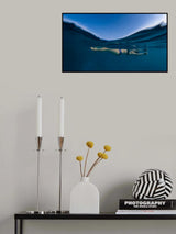 Submerged Poster och Canvastavla