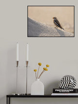 Little bird in the sand dunes. Poster och Canvastavla