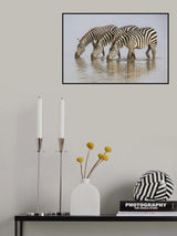 Three of a Kind Poster och Canvastavla