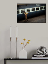 Sleeper Poster och Canvastavla