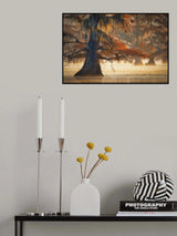 A Cypress In Fall Water Poster och Canvastavla