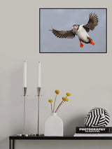 Master Fisherman Poster och Canvastavla