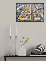 The colours of Kiev Poster och Canvastavla
