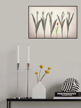 Tulip Forest Poster och Canvastavla