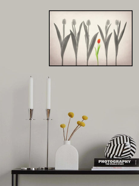 Tulip Forest Poster och Canvastavla