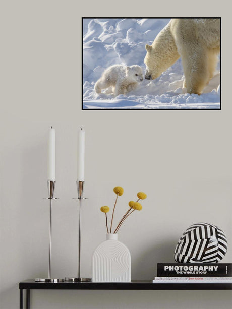 playful polar bear cub Poster och Canvastavla
