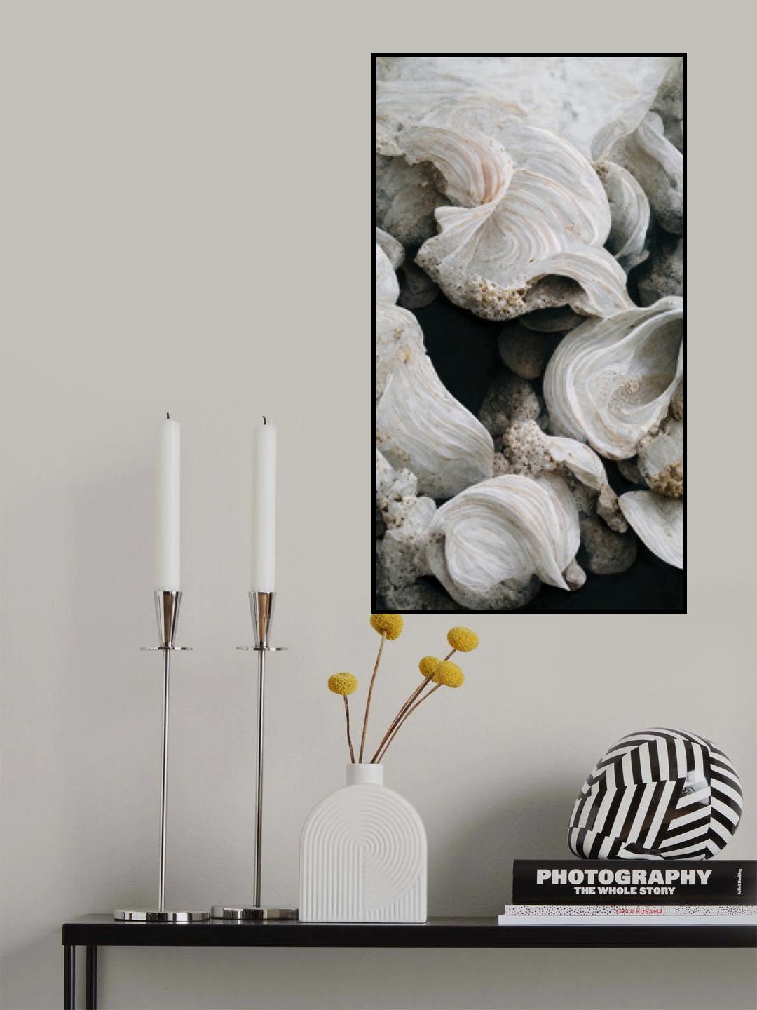 Sea Shells Detail No 2 Poster och Canvastavla