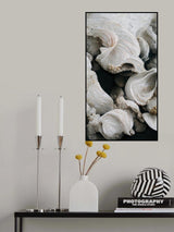 Sea Shells Detail No 2 Poster och Canvastavla