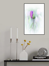 Elegant Poster och Canvastavla