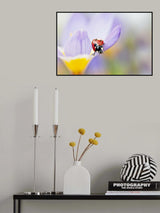 Spring Lady Poster och Canvastavla
