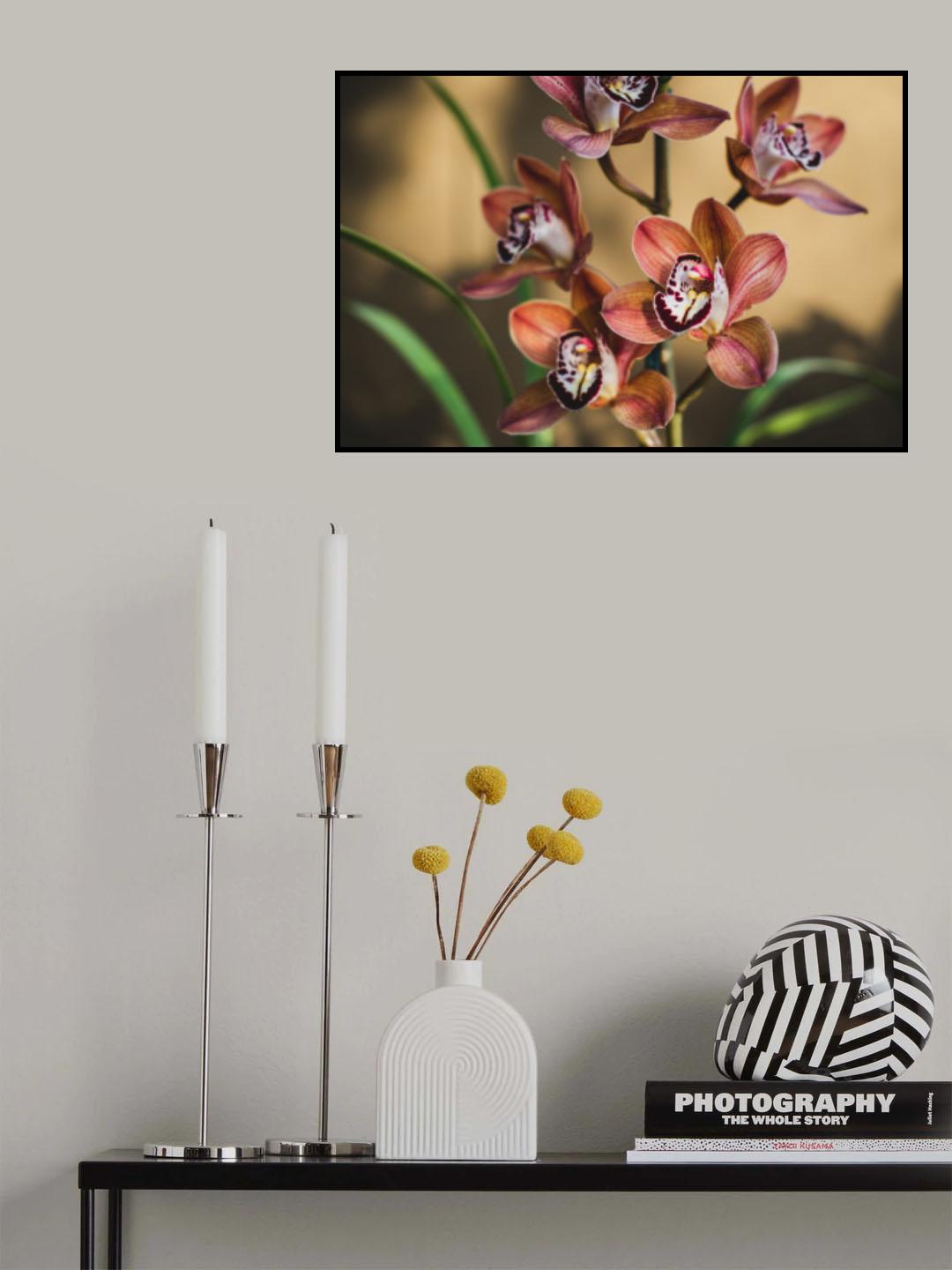 Orange Orchids Poster och Canvastavla