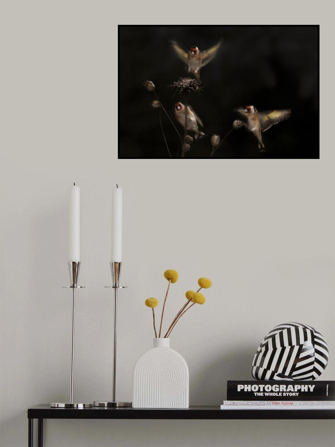Winter games Poster och Canvastavla