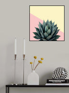 Agave 04 Poster och Canvastavla