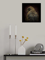 Somebody watch me-Savanna Hawk Poster och Canvastavla