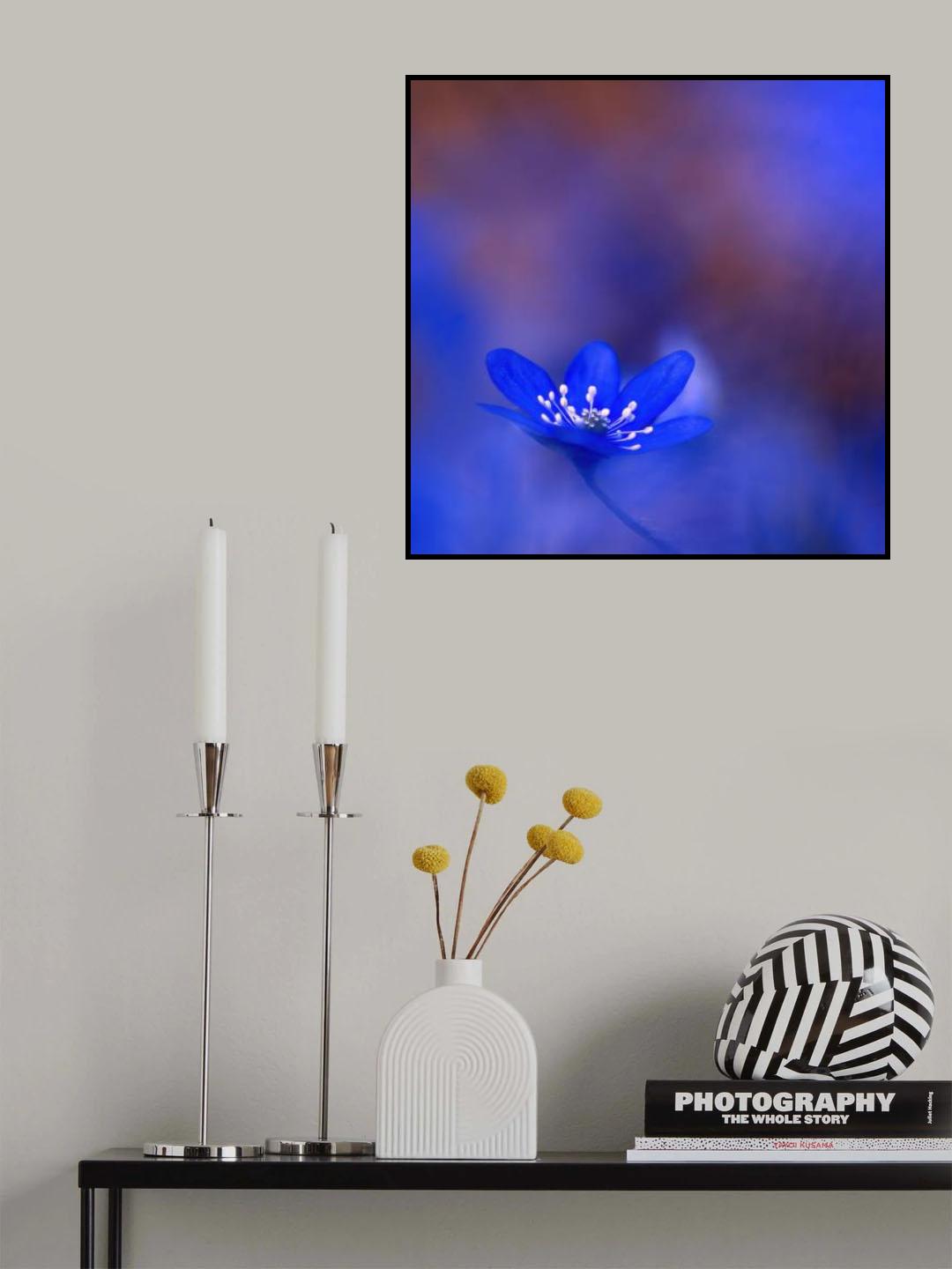 Blå drömmar. Poster och Canvastavla