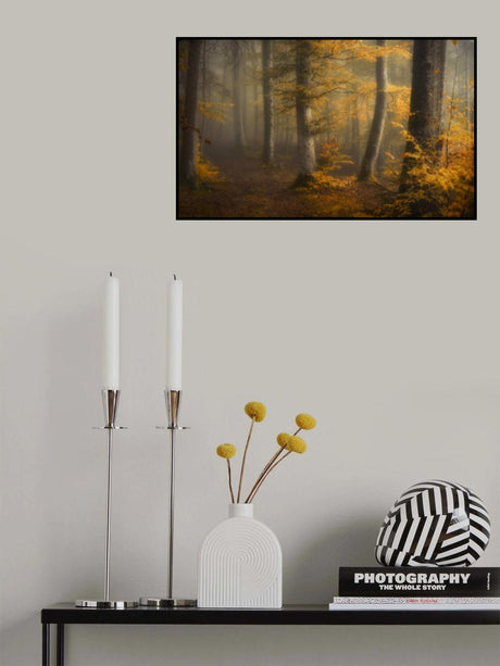 Autumn woods Poster och Canvastavla
