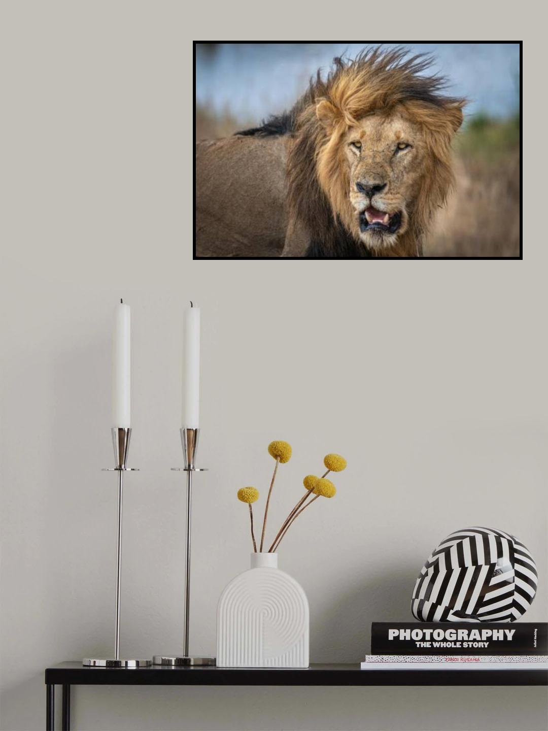 The ancient warrior Poster och Canvastavla