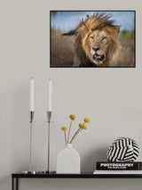 The ancient warrior Poster och Canvastavla