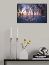 Ice and snow forest Poster och Canvastavla