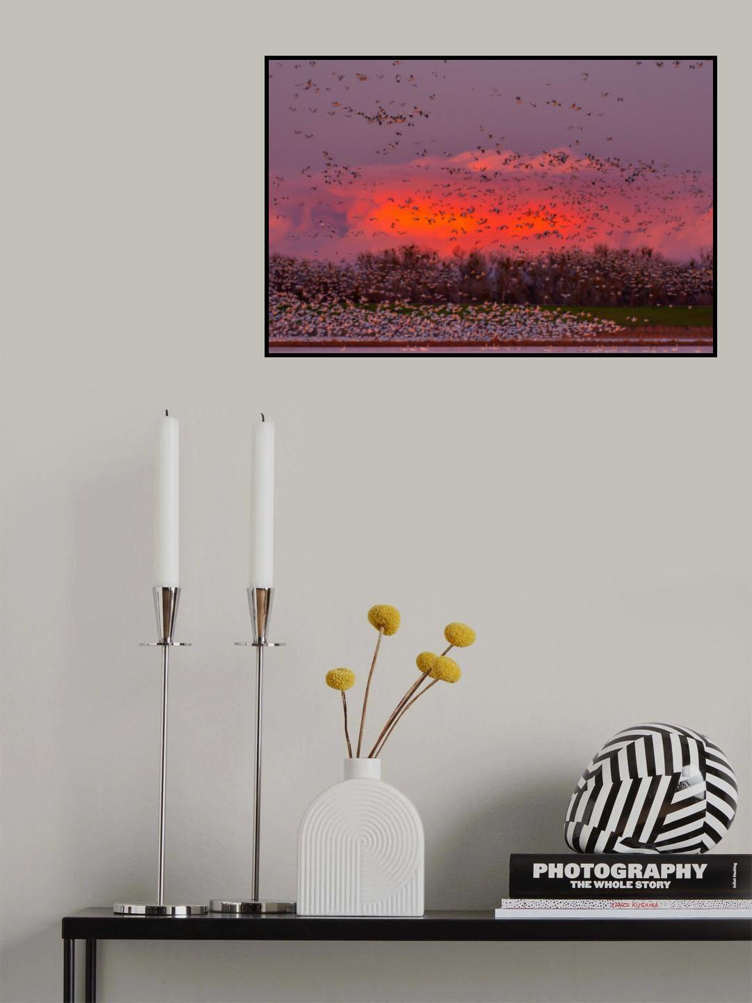 Companions of the Sky Poster och Canvastavla