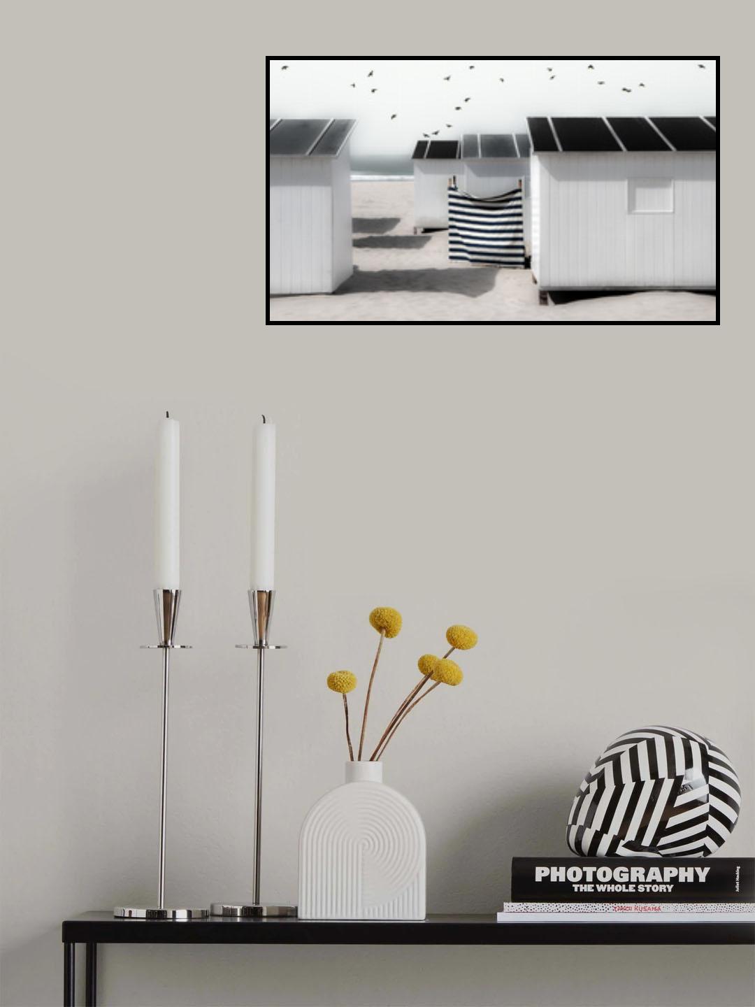 As free as a bird... Poster och Canvastavla