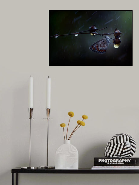 In the rain... Poster och Canvastavla