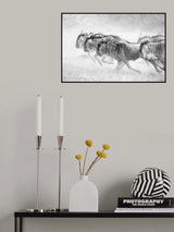 Unstopable Poster och Canvastavla