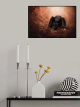 Lestat Poster och Canvastavla
