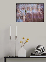 Solitaire Poster och Canvastavla