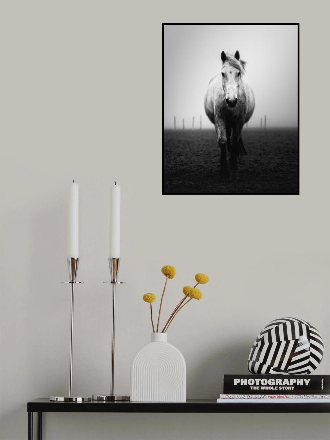Confidence Poster och Canvastavla