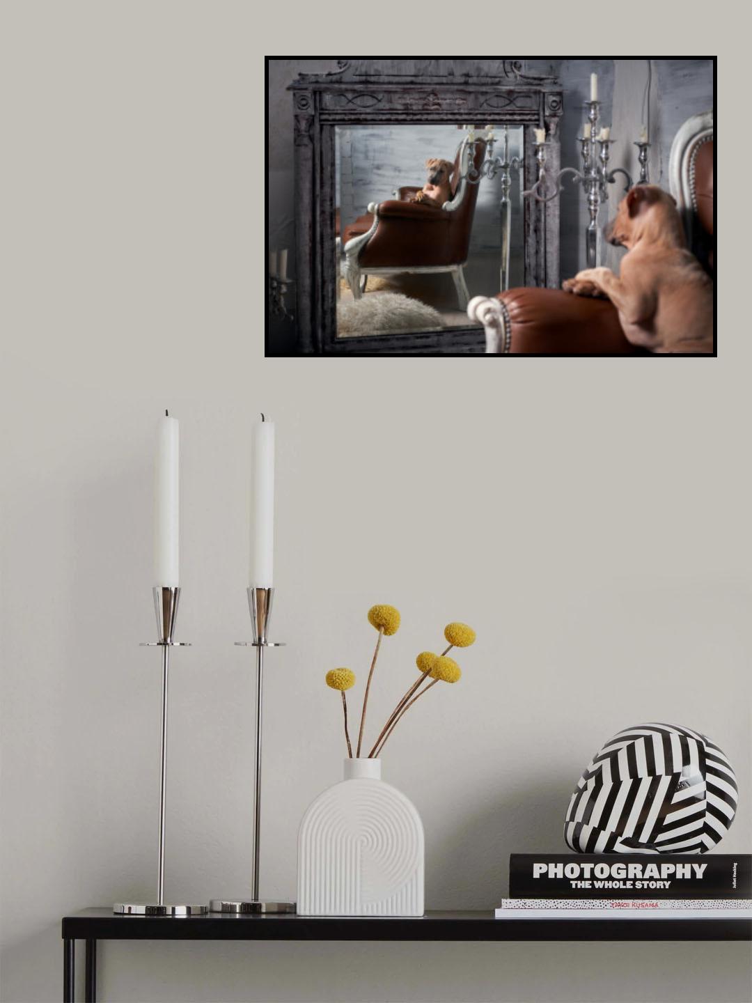 Mirror Poster och Canvastavla