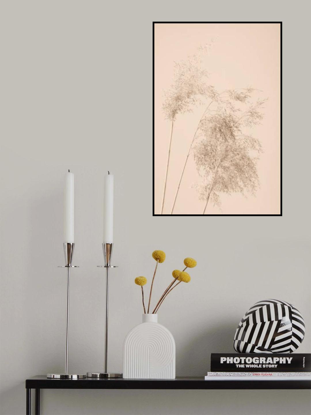 Reed Grass Beige 07 Poster och Canvastavla