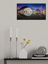 Hemisferic Poster och Canvastavla