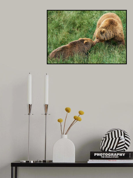 Loving bears Poster och Canvastavla