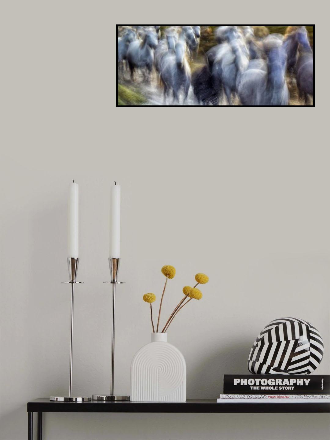 Camargue Poster och Canvastavla