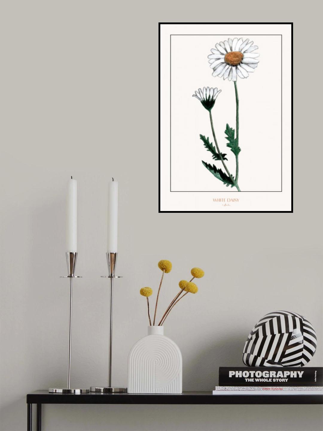 White daisy Poster och Canvastavla