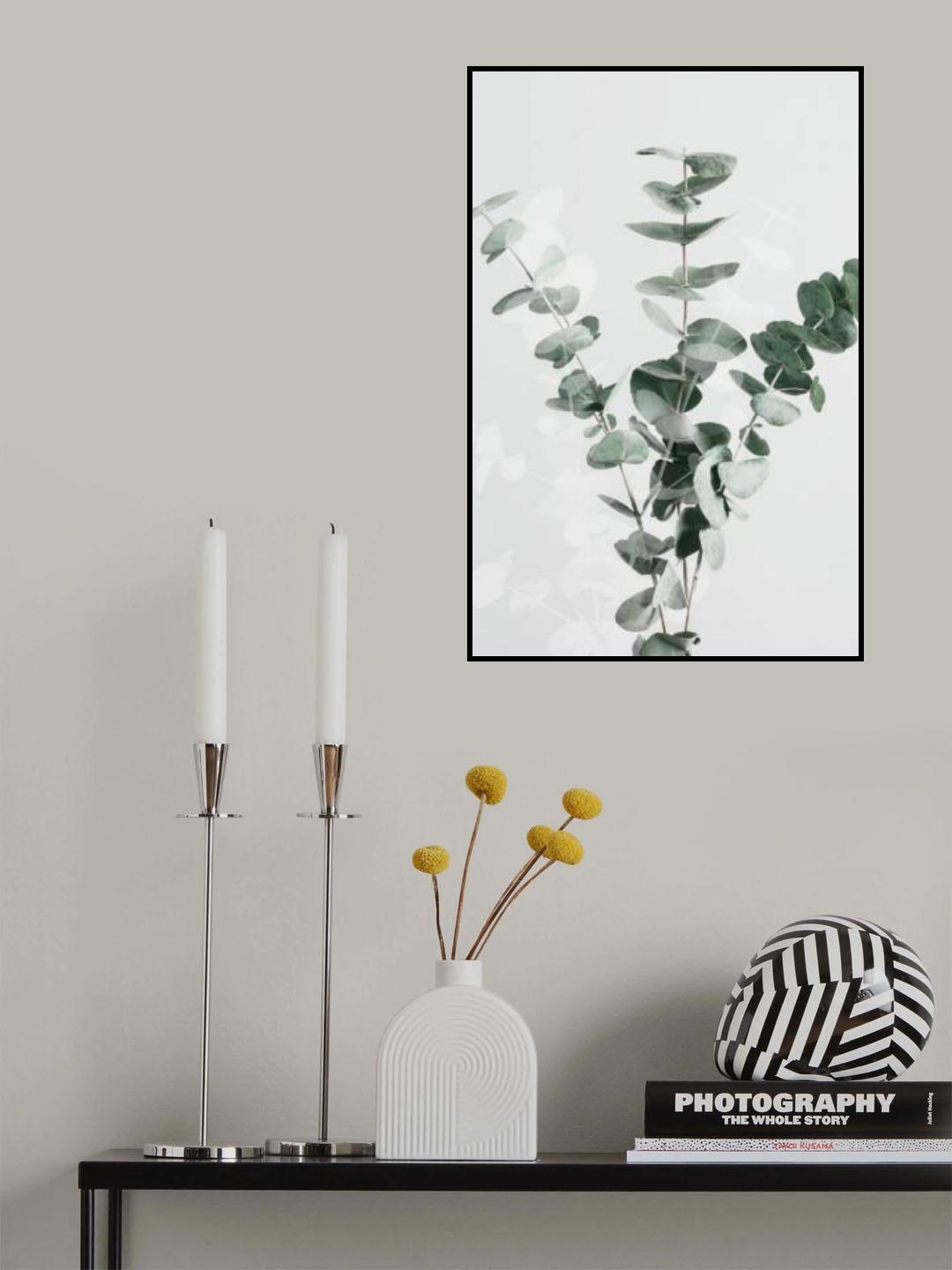 Eucalyptus Creative 01 Poster och Canvastavla
