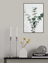 Eucalyptus Creative 01 Poster och Canvastavla