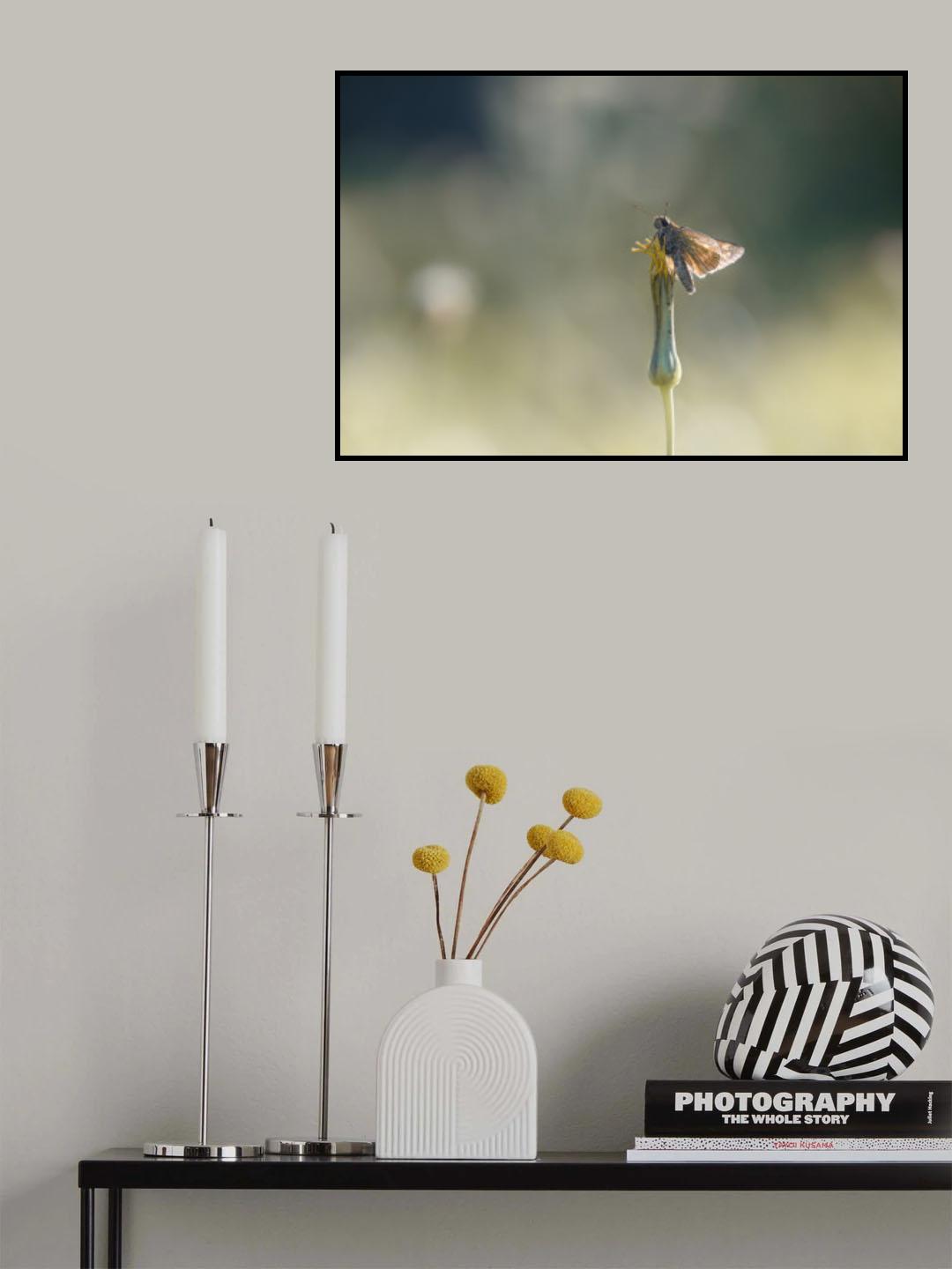 Poster och Canvastavla