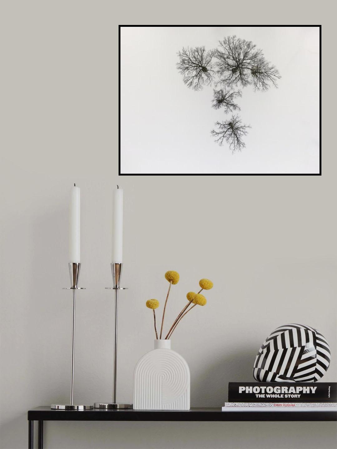 Winter trees Poster och Canvastavla
